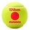Piłka do tenisa ziemnego WILSON Starter red minions (3 szt.)