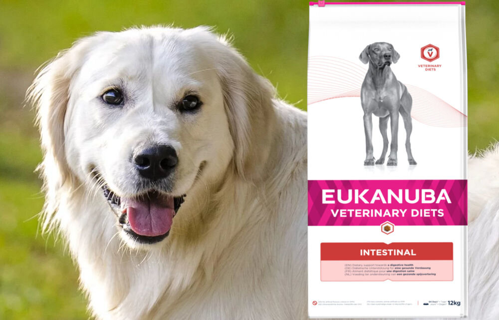 Karma dla psa EUKANUBA VD Intestinal Disorders Dog Adult Kurczak 12 kg dawkowanie analiza sklad