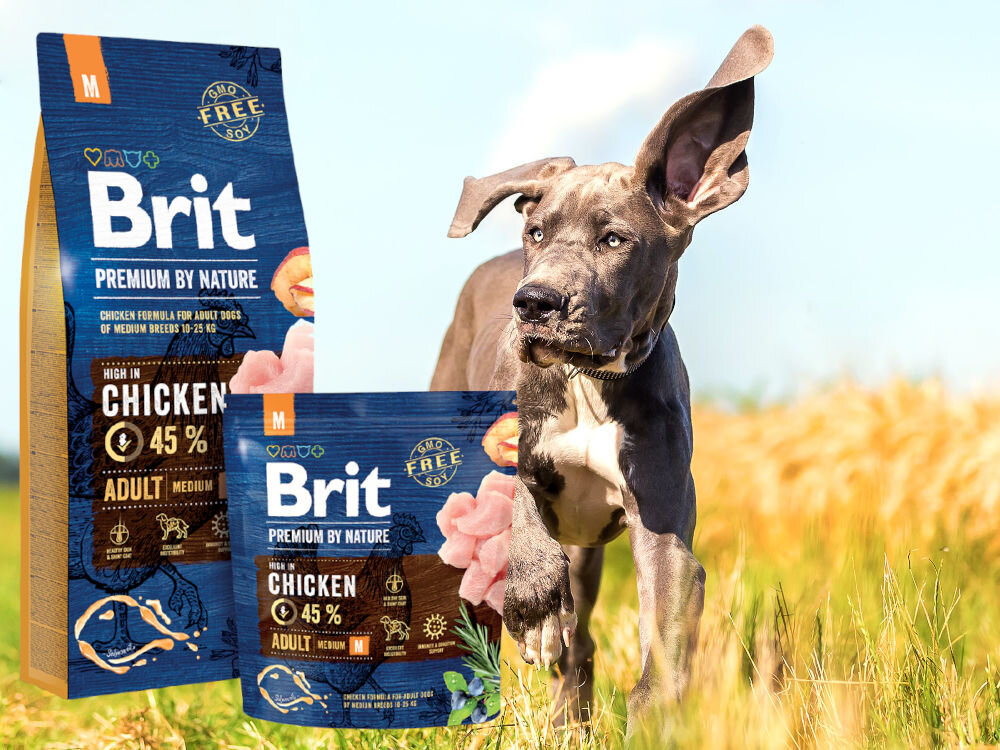 Karma dla psa BRIT Premium By Nature Kurczak 15 kg zdrowie mobilnosc odpornosc kondycja