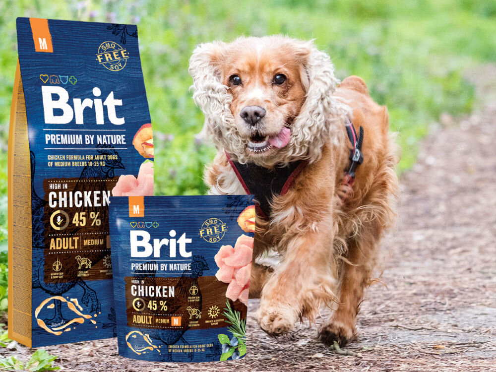 Karma dla psa BRIT Premium By Nature Kurczak 15 kg dodatki analiza