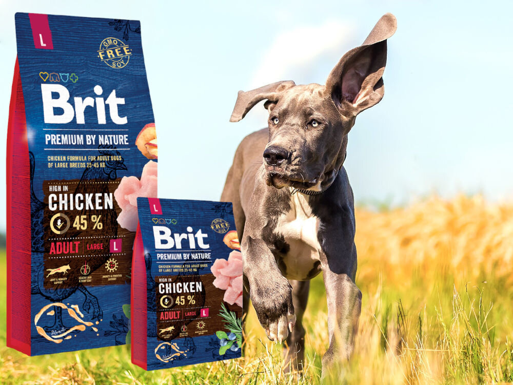 Karma dla psa BRIT Premium By Nature Kurczak 15 kg zdrowie mobilnosc odpornosc kondycja