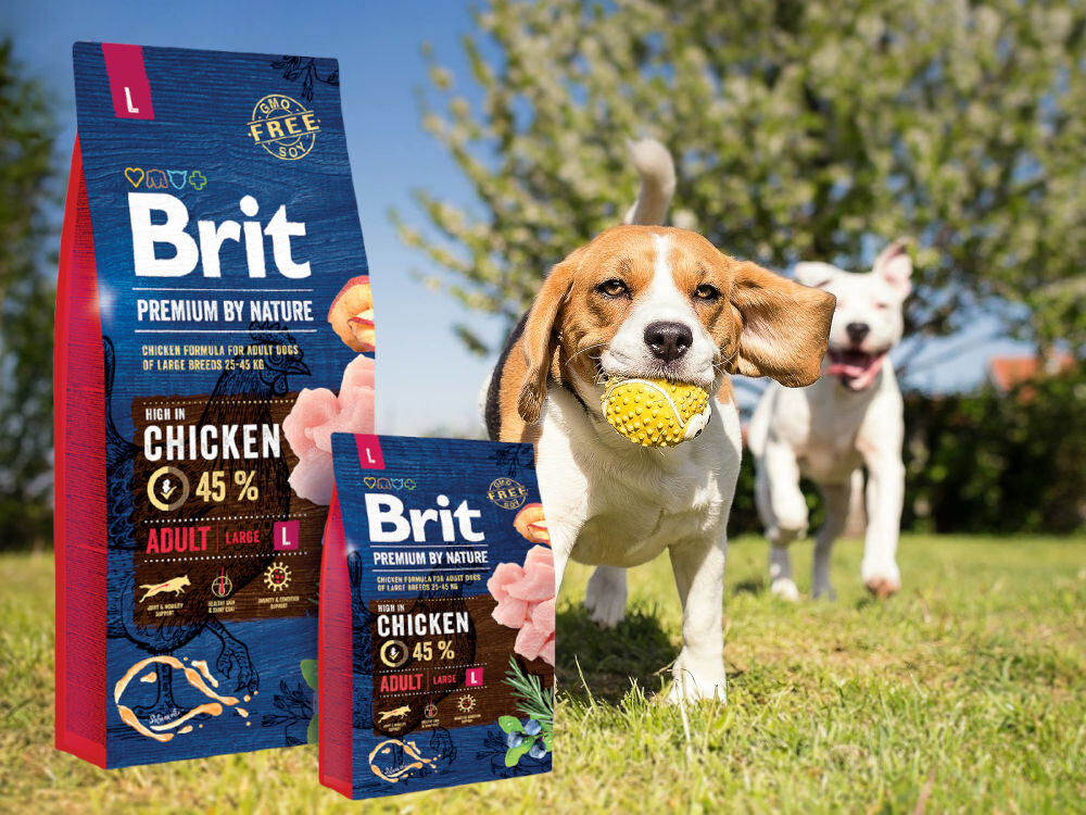 Karma dla psa BRIT Premium By Nature Kurczak 15 kg sklad zywienie