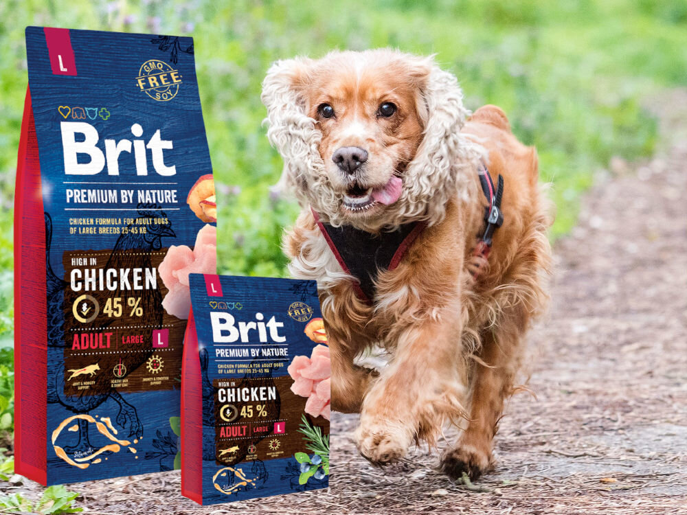 Karma dla psa BRIT Premium By Nature Kurczak 15 kg dodatki analiza
