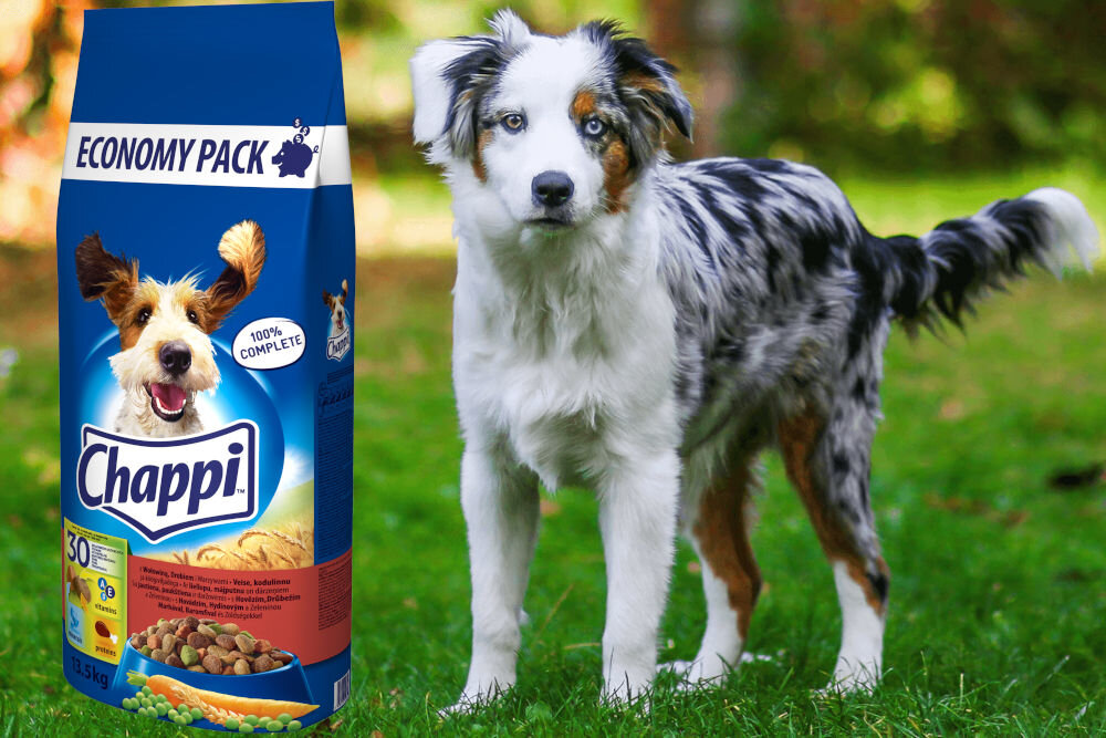 Karma dla psa CHAPPI™ Wołowina z drobiem 13,5 kg dawkowanie analiza sklad