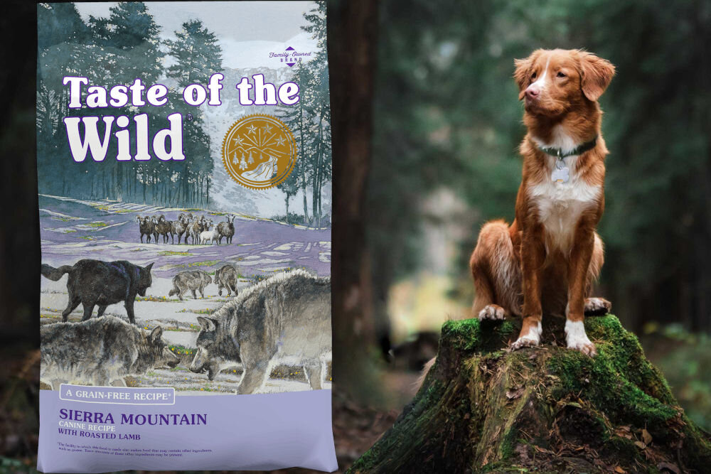 Karma dla psa TASTE OF THE WILD Sierra Mountain Jagnięcina 2 kg naturalne składniki