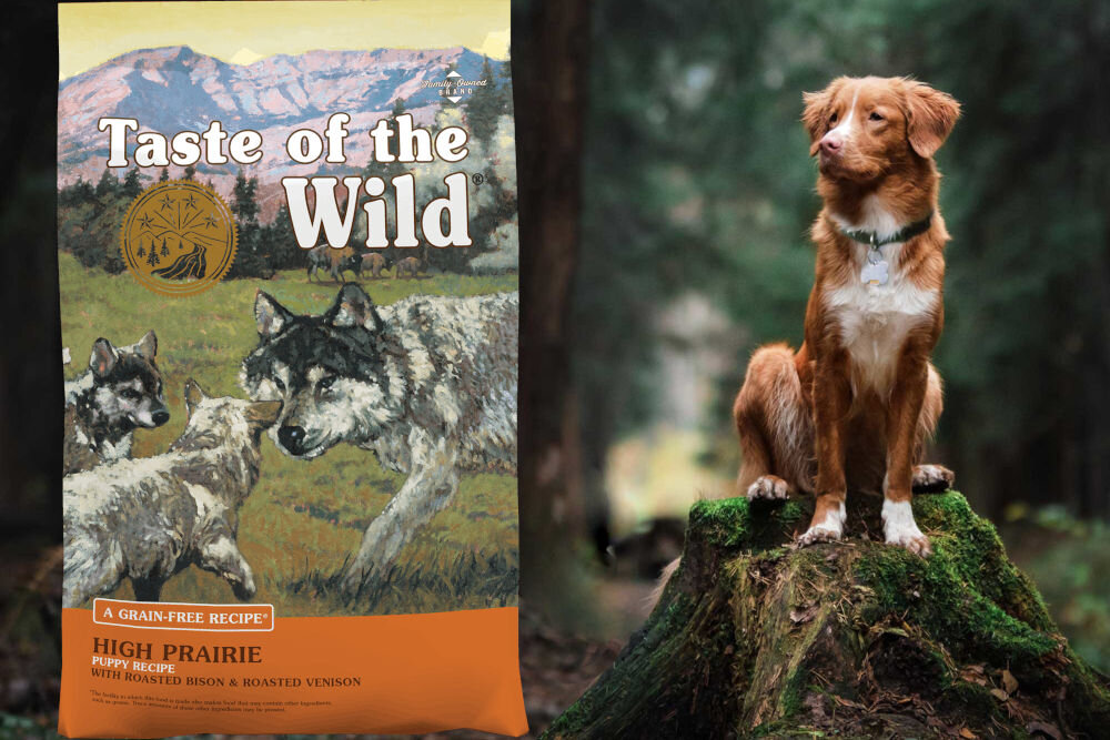 Karma dla psa TASTE OF THE WILD High Prairie Puppy Bizon i dziczyzna 2 kg naturalne składniki