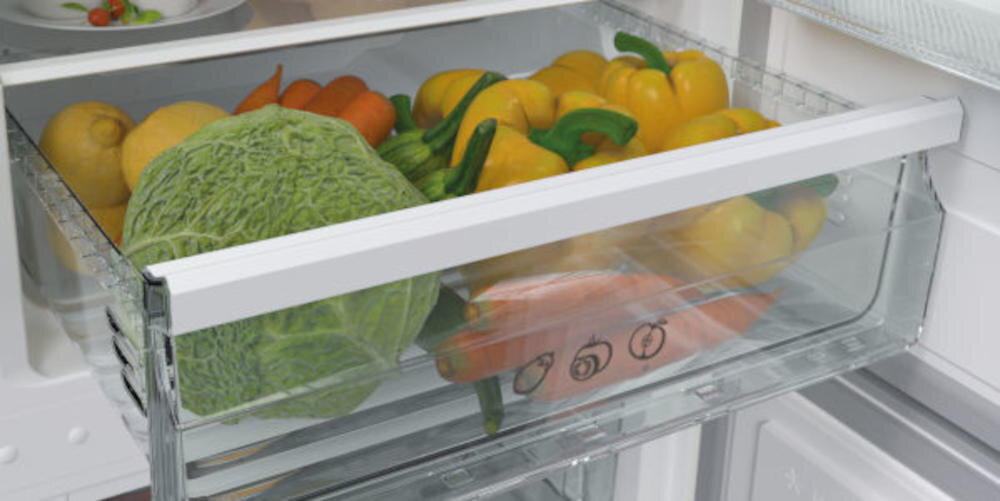CANDY COHS 38E36W lodówka technologia statayczna przechowywanie wentylacja wysuwana szuflada owoce warzywa