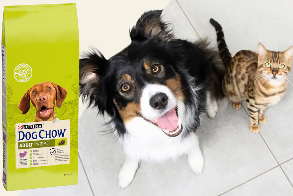 Karma dla psa PURINA Dog Chow Adult z Jagnięciną 14 kg witaminy zdrowie