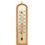 Termometr pokojowy BIOTERM 012400 (210/43 mm)