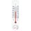 Termometr zewnętrzny BIOTERM 025300 (250/55 mm)