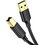 Kabel USB - USB Typ B UGREEN 2 m