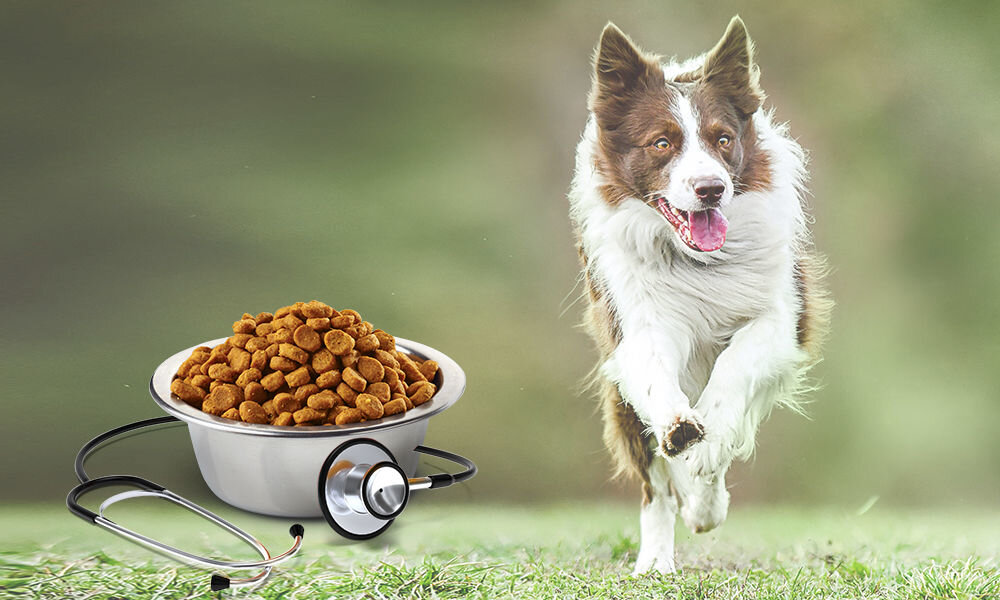 Karma dla psa FARMINA Vet Life Obesity 12 kg naturalne składniki wielkość krokietów