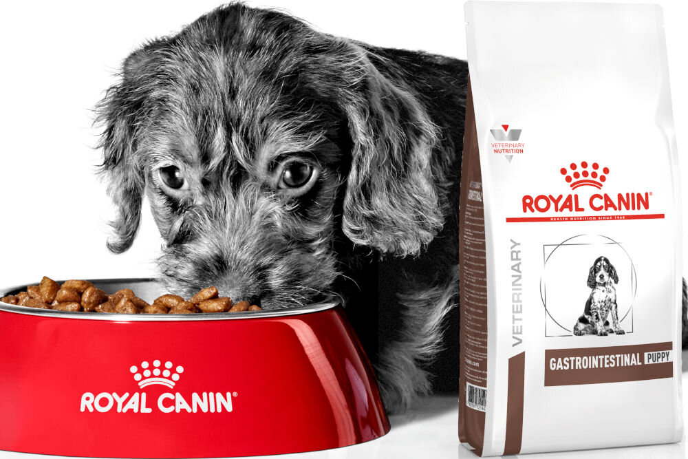 Karma dla psa ROYAL CANIN Gastrointestinal Puppy 10 kg naturalne składniki