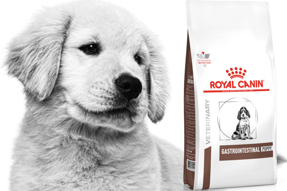Karma dla psa ROYAL CANIN Gastrointestinal Puppy 10 kg dawkowanie analiza sklad