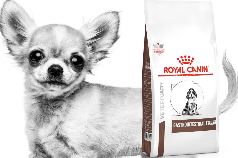 Karma dla psa ROYAL CANIN Gastrointestinal Puppy 10 kg witaminy pierwiastki aminokwasy