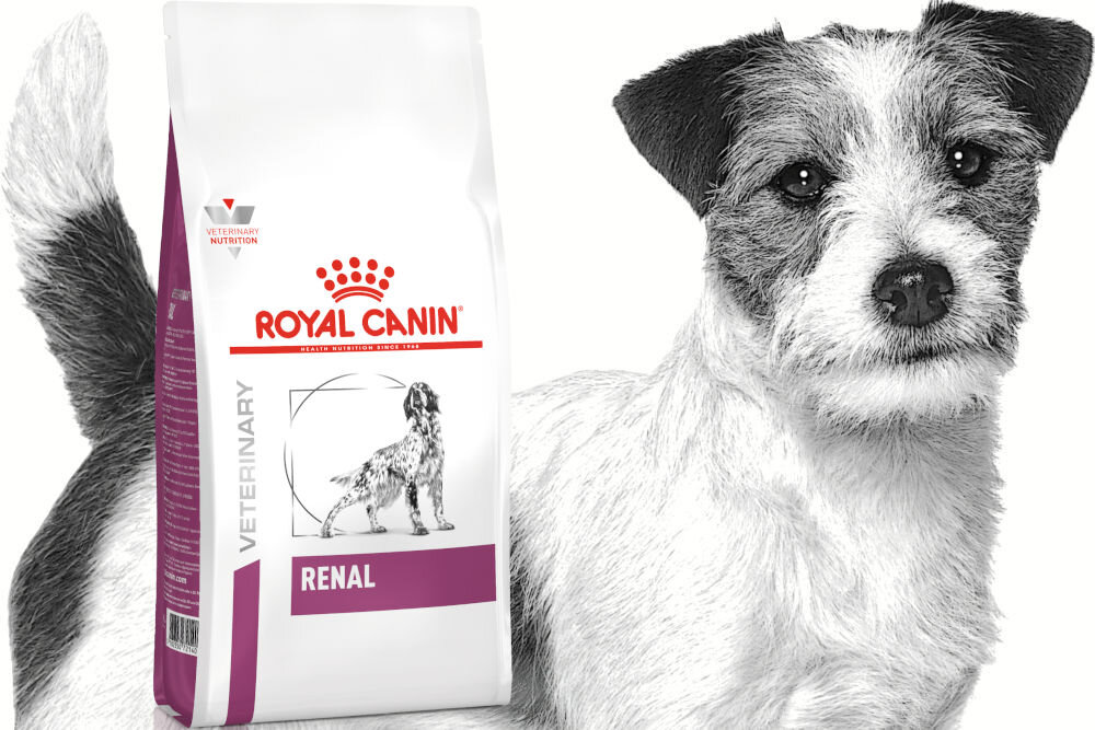 Karma dla psa ROYAL CANIN Renal 14 kg naturalne składniki