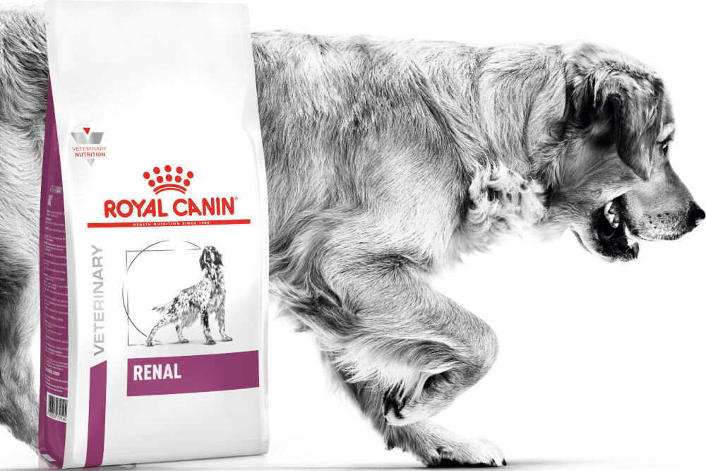 Karma dla psa ROYAL CANIN Renal 14 kg dawkowanie analiza sklad