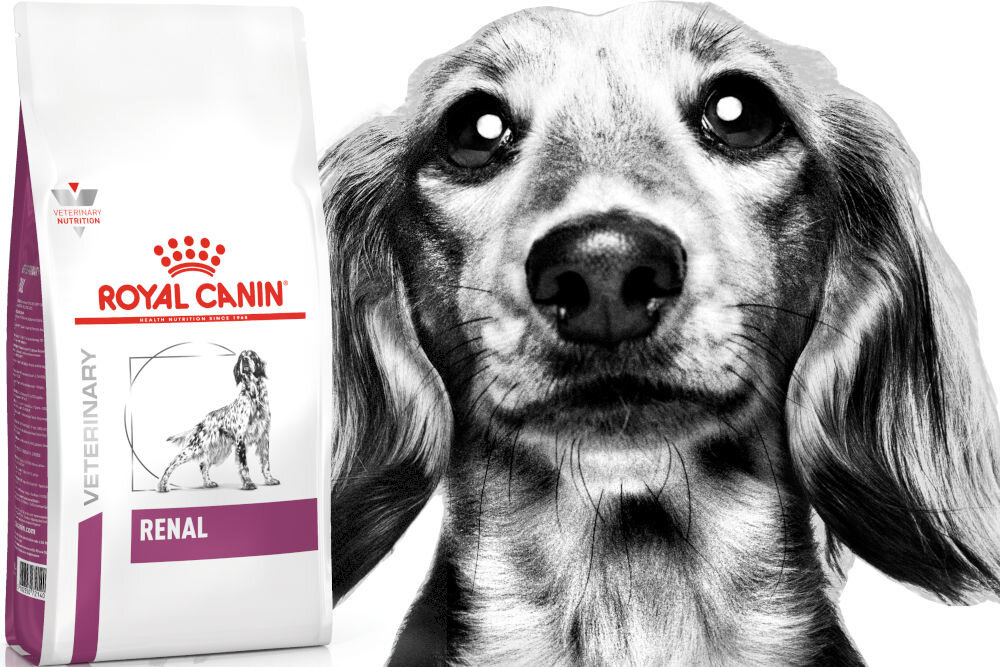 Karma dla psa ROYAL CANIN Renal 14 kg witaminy pierwiastki aminokwasy