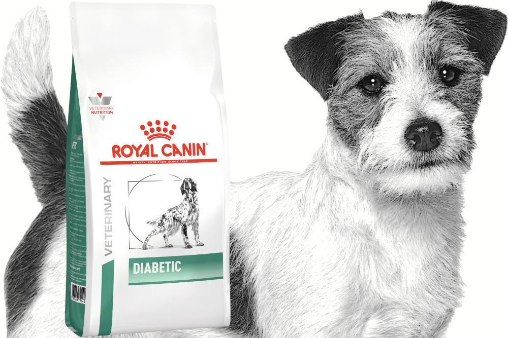 Karma dla psa ROYAL CANIN Diabetic 1,5 kg naturalne składniki
