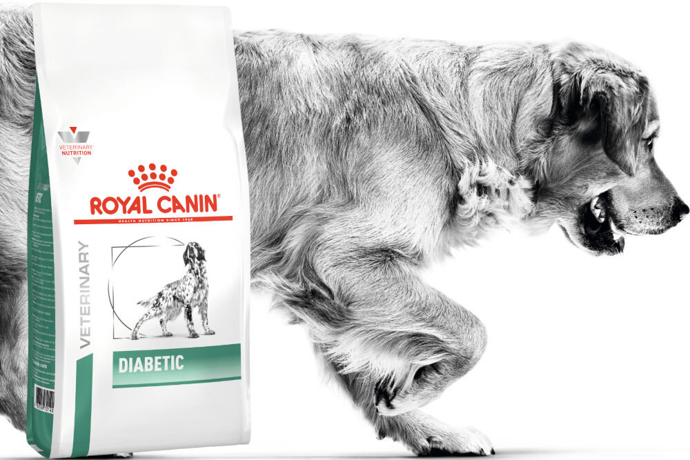 Karma dla psa ROYAL CANIN Diabetic 1,5 kg dawkowanie analiza sklad