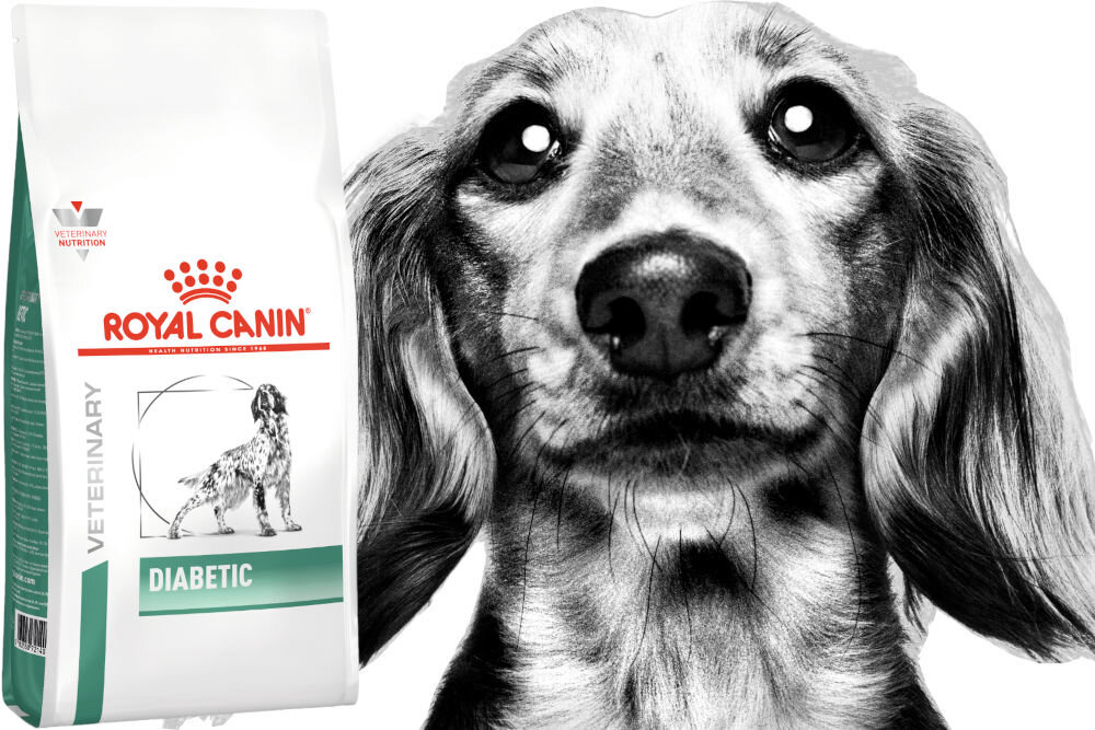 Karma dla psa ROYAL CANIN Diabetic 1,5 kg witaminy pierwiastki aminokwasy