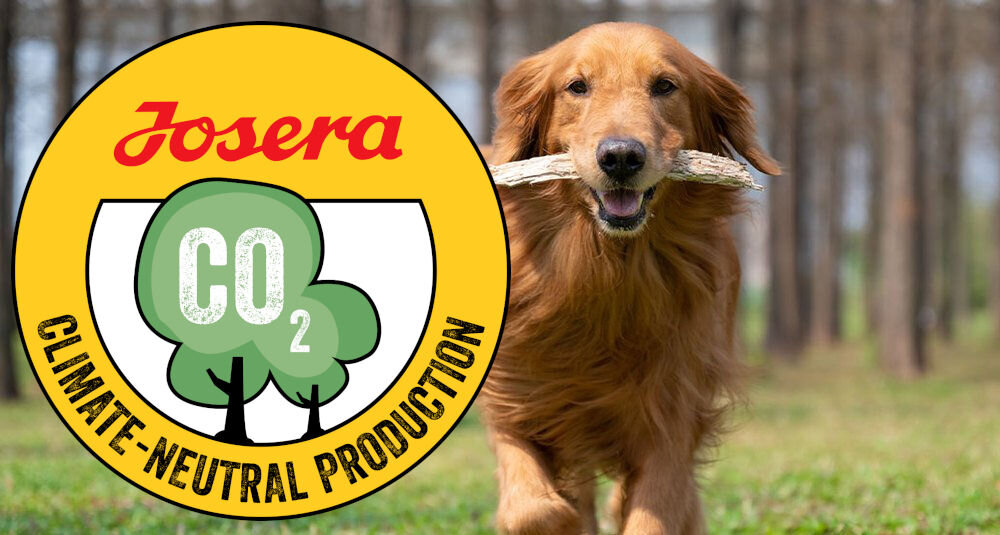 Karma dla psa JOSERA Youngstar Drób z ziemniakami 15 kg naturalne składniki wielkość krokietów
