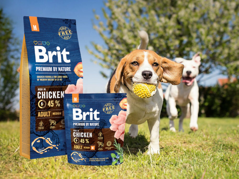 Karma dla psa BRIT Premium By Nature Kurczak 15 kg sklad zywienie