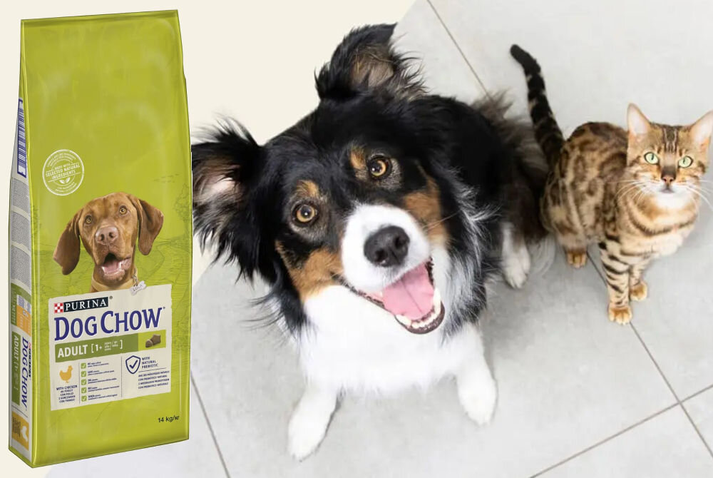 Karma dla psa DOG CHOW Adult z Kurczakiem 14 kg witaminy zdrowie