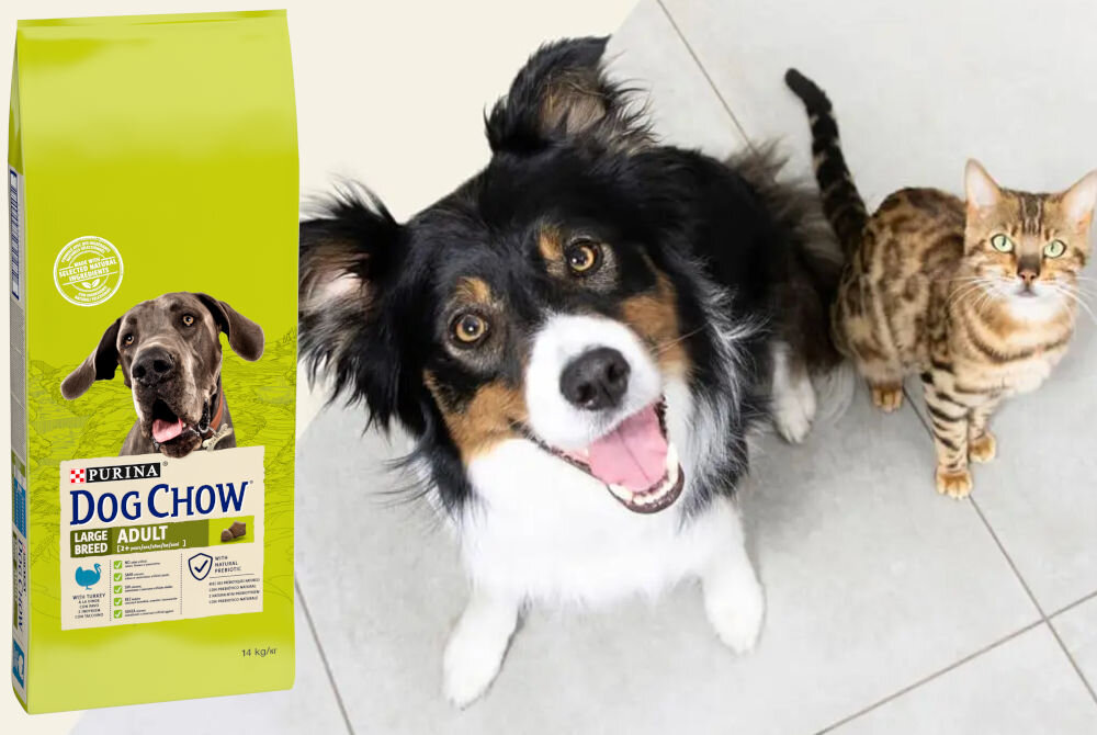 Karma dla psa DOG CHOW Adult Large Breed z Indykiem 14 kg witaminy zdrowie