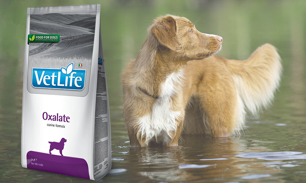 Karma dla psa FARMINA Vet Life Oxalate 12 kg dawkowanie analiza sklad
