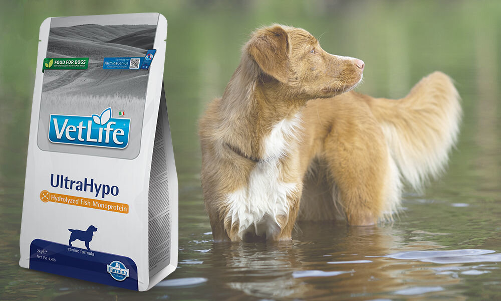 Karma dla psa FARMINA Vet Life UltraHypo 2 kg dawkowanie analiza sklad