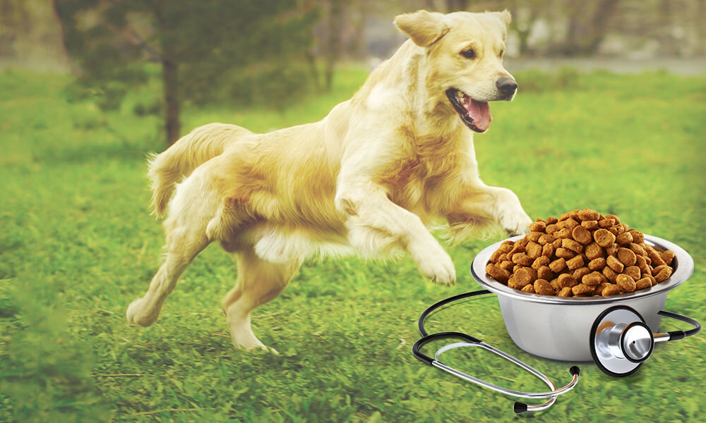 Karma dla psa FARMINA Vet Life UltraHypo 2 kg witaminy pierwiastki aminokwasy