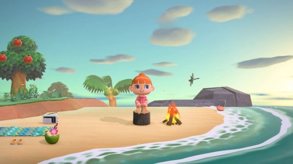 Animal Crossing: New Horizons Gra NINTENDO SWITCH opis