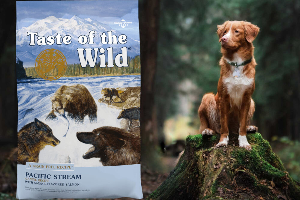 Karma dla psa TASTE OF THE WILD Pacific Stream Łosoś 12,2 kg naturalne składniki