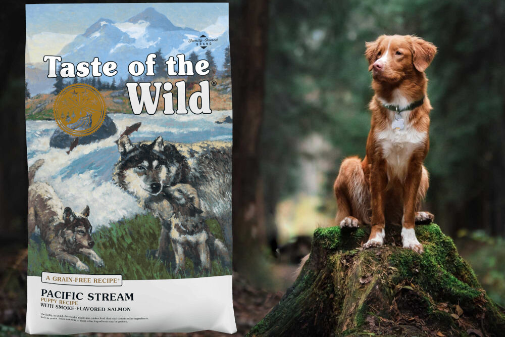 Karma dla psa TASTE OF THE WILD Pacific Stream Puppy Łosoś 2 kg naturalne składniki