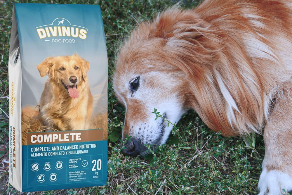 Karma dla psa DIVINUS Complete Mięsny 20 kg dawkowanie analiza sklad