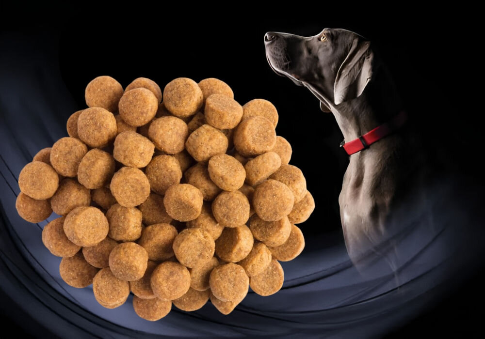 Karma dla psa PURINA Pro Plan Canine Joint Mobility 12 kg witaminy zdrowie