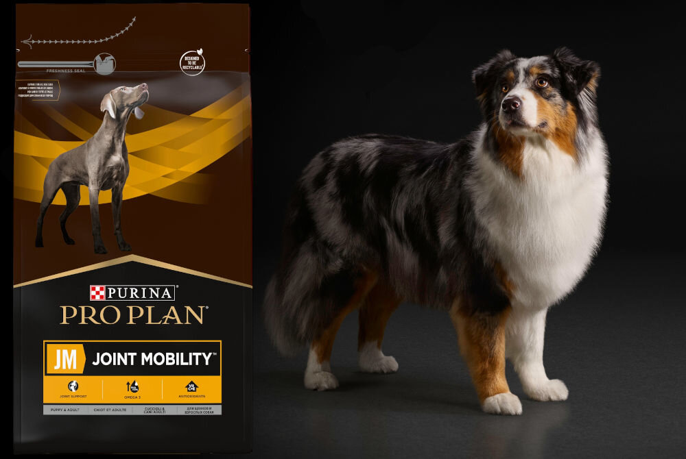 Karma dla psa PURINA Pro Plan Canine Joint Mobility 12 kg dodatki analiza
