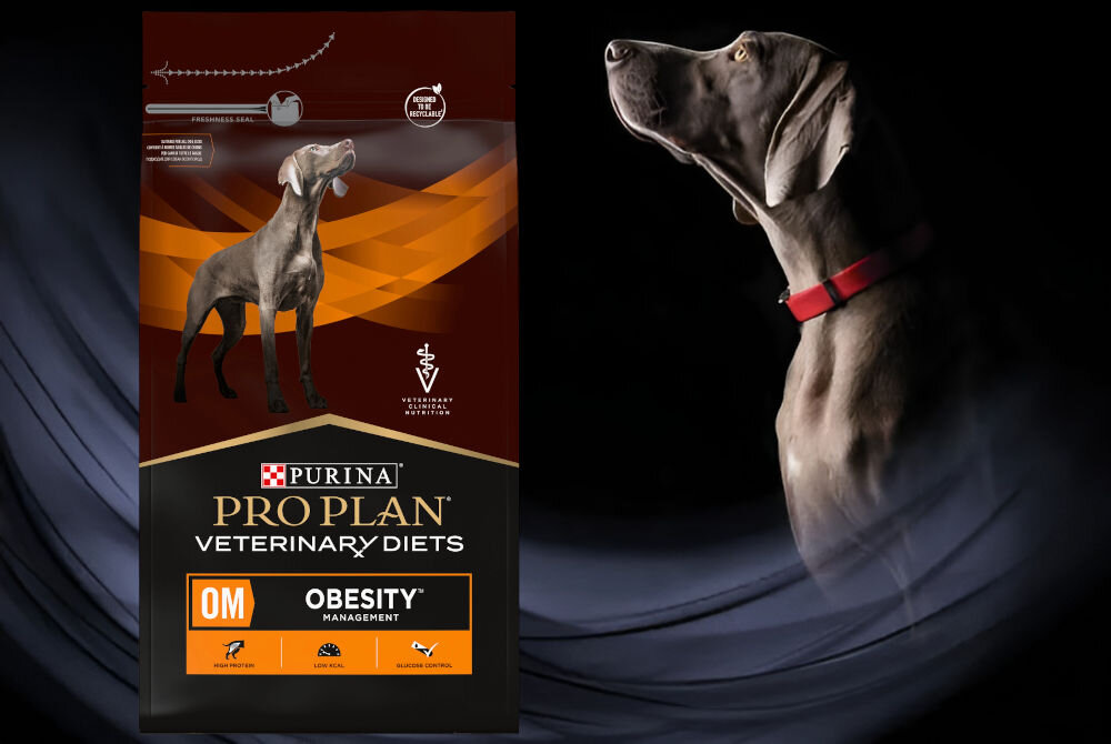Karma dla psa PURINA Pro Plan Veterinary Diets Canine OM Obesity Management 3 kg witaminy zdrowie