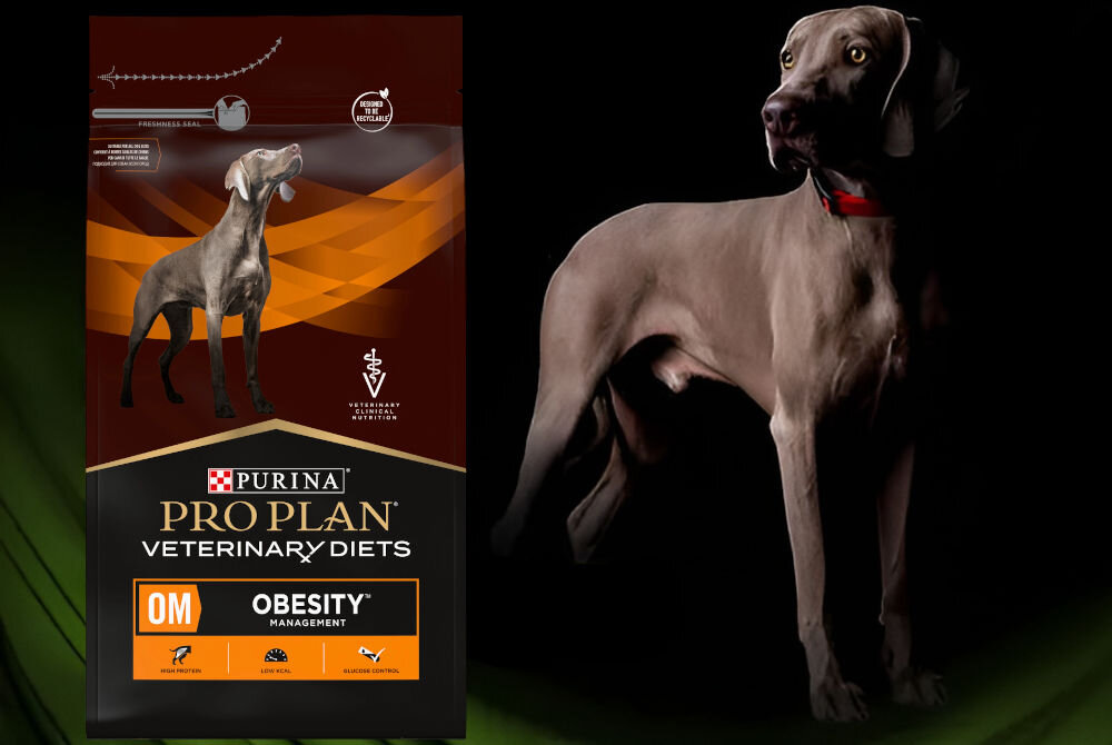 Karma dla psa PURINA Pro Plan Veterinary Diets Canine OM Obesity Management 3 kg sklad zywienie