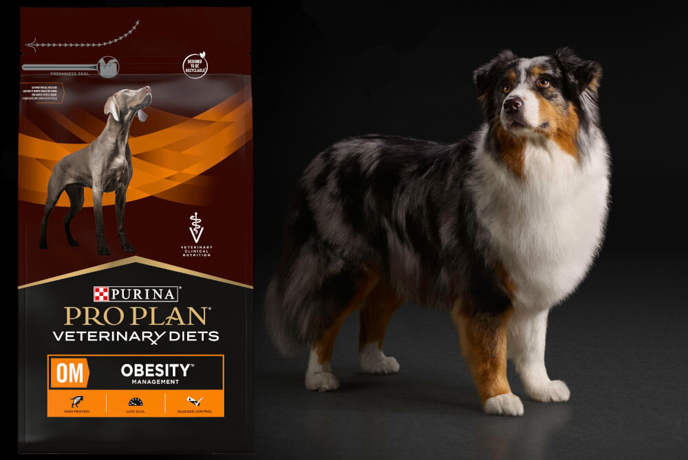 Karma dla psa PURINA Pro Plan Veterinary Diets Canine OM Obesity Management 3 kg dodatki analiza