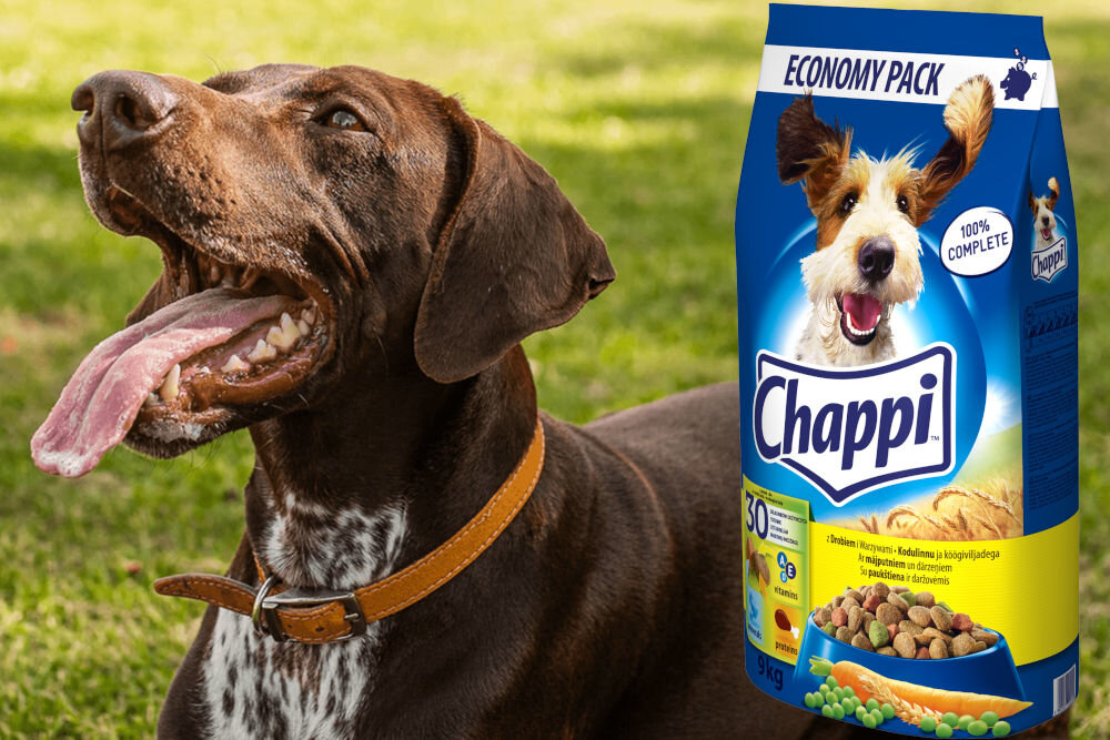 Karma dla psa CHAPPI Drób 9 kg naturalne składniki