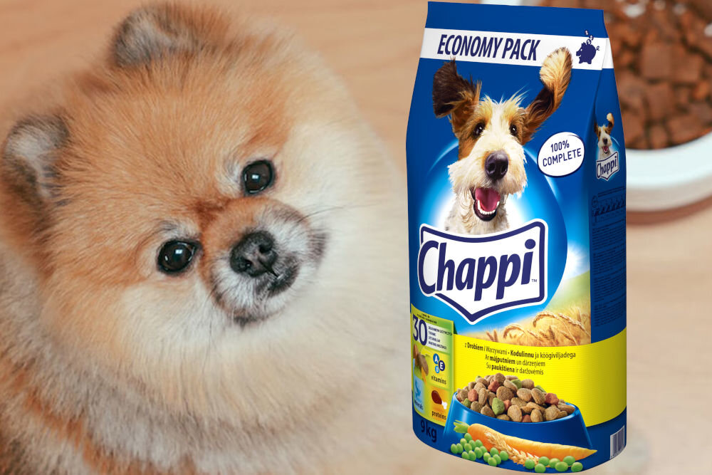 Karma dla psa CHAPPI Drób 9 kg witaminy pierwiastki aminokwasy