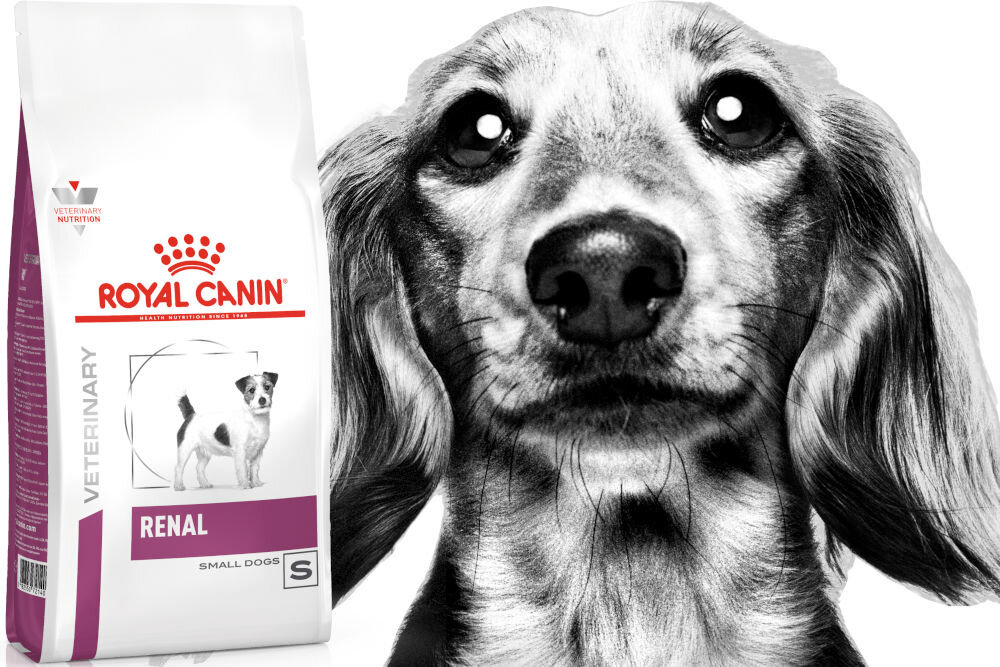 Karma dla psa ROYAL CANIN Renal 3,5 kg naturalne składniki