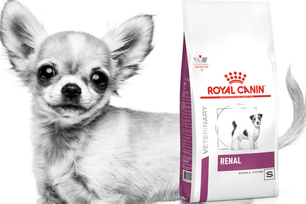 Karma dla psa ROYAL CANIN Renal 3,5 kg dawkowanie analiza sklad