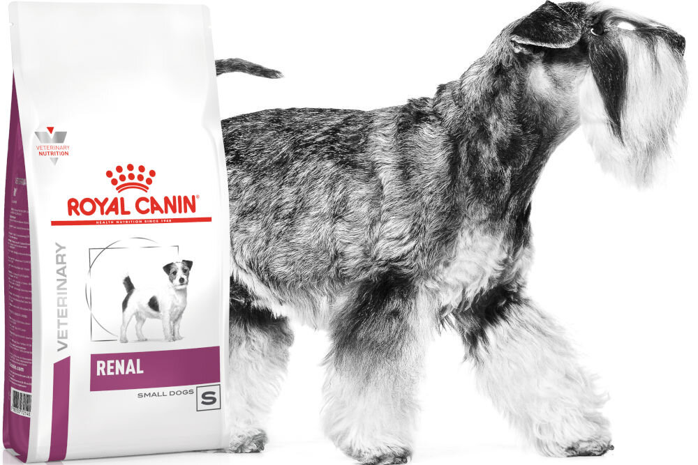 Karma dla psa ROYAL CANIN Renal 3,5 kg witaminy pierwiastki aminokwasy