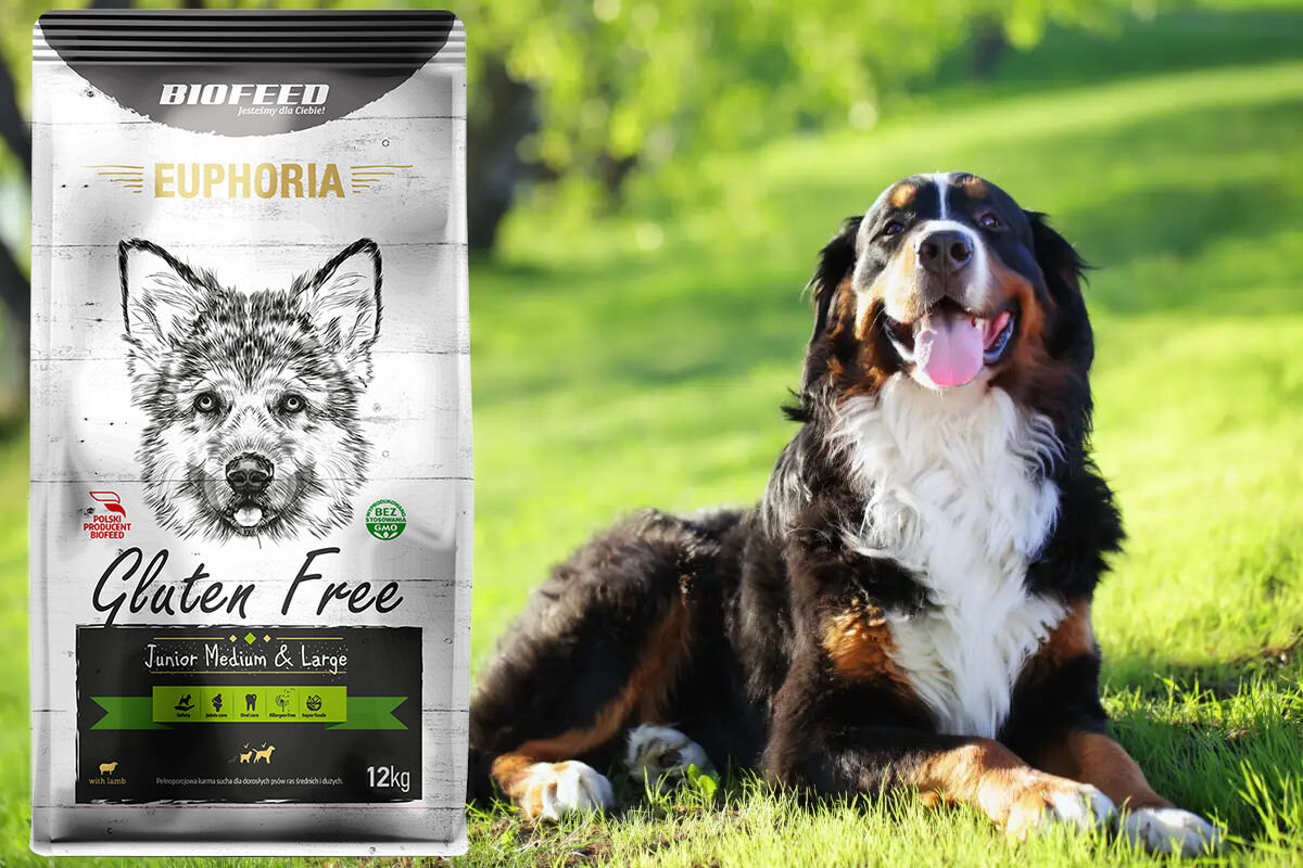 Karma dla psa BIOFEED Euphoria Gluten Free Adult Jagnięcina 12 kg witaminy pierwiastki aminokwasy