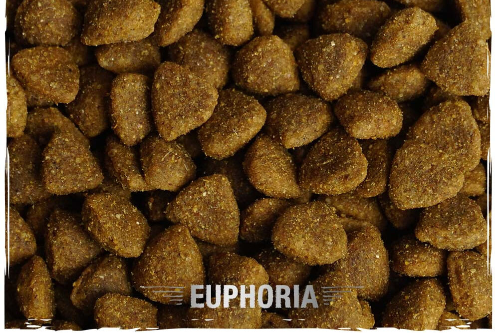 Karma dla psa BIOFEED Euphoria Gluten Free 12 kg naturalne składniki wielkość krokietów