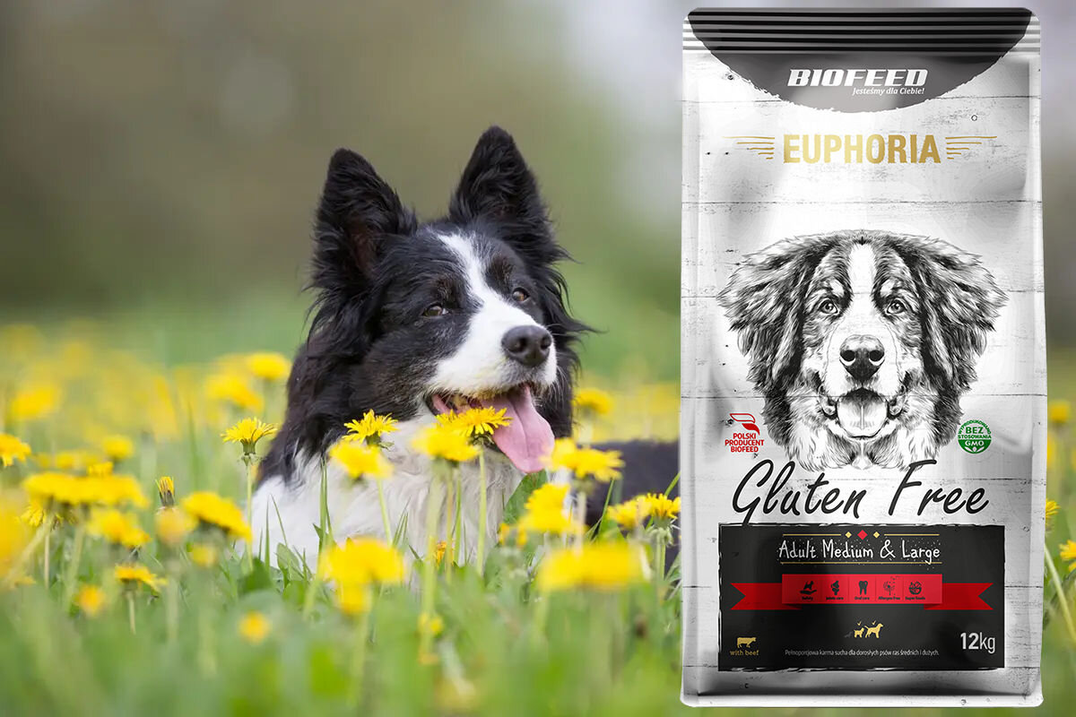 Karma dla psa BIOFEED Euphoria Gluten Free 12 kg witaminy pierwiastki aminokwasy