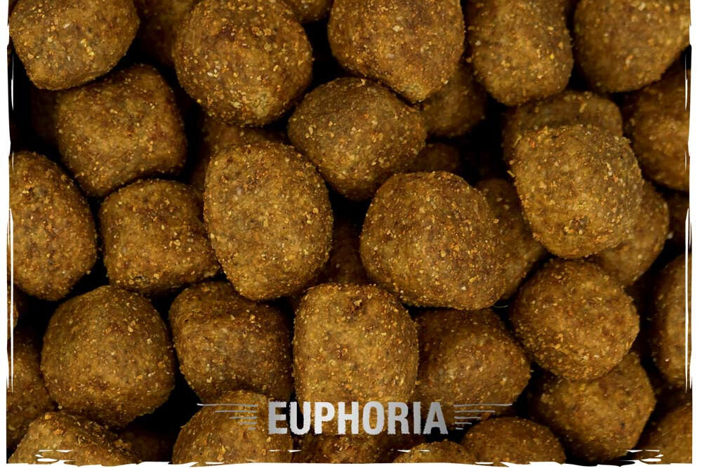 Karma dla psa BIOFEED Euphoria Gluten Free 12 kg naturalne składniki wielkość krokietów